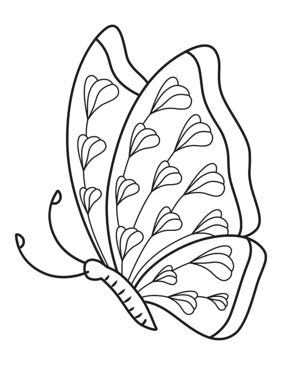 Butterfly Lobes Side View Tracing Worksheets Pdf Free Vectors